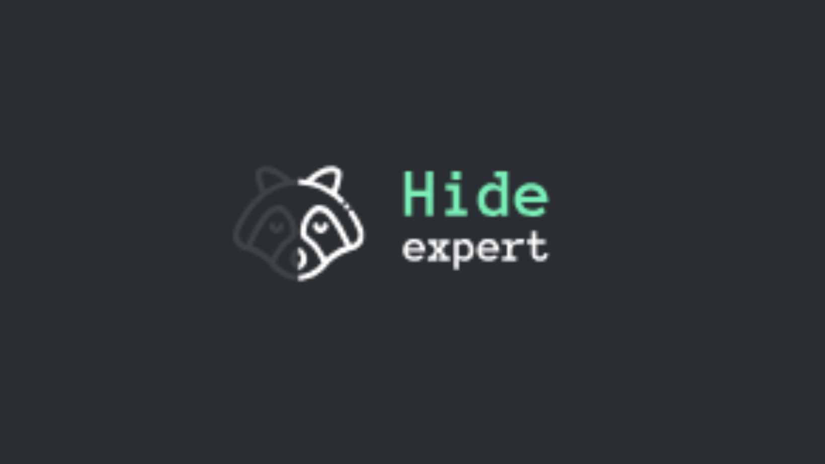 Hide Expert VPN