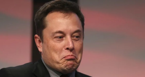 Did Elon Musk Really Buy Google? Examining the Rumors