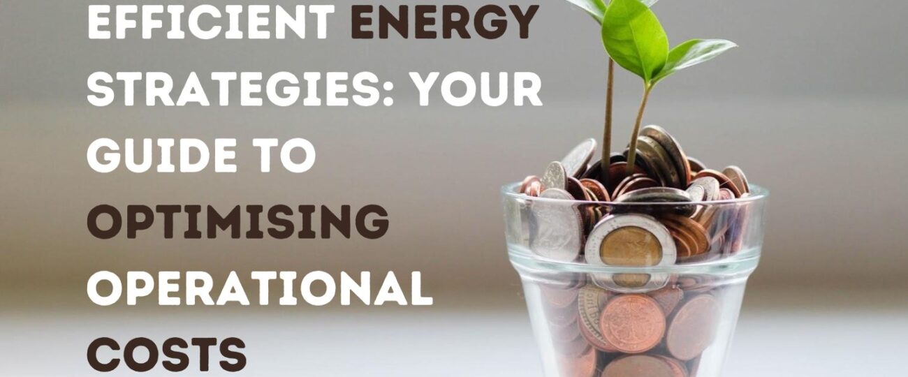 Efficient Energy Strategies: Your Guide to Optimising Operational Costs