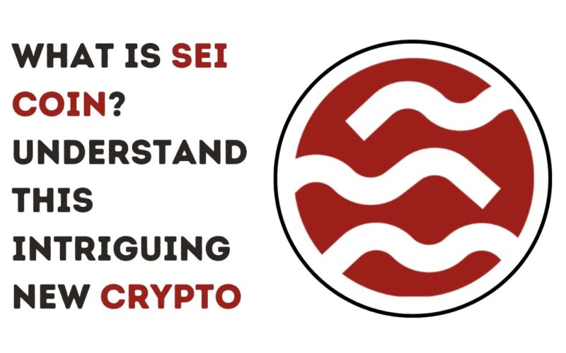 What is SEI Coin? Understanding This Intriguing New Crypto