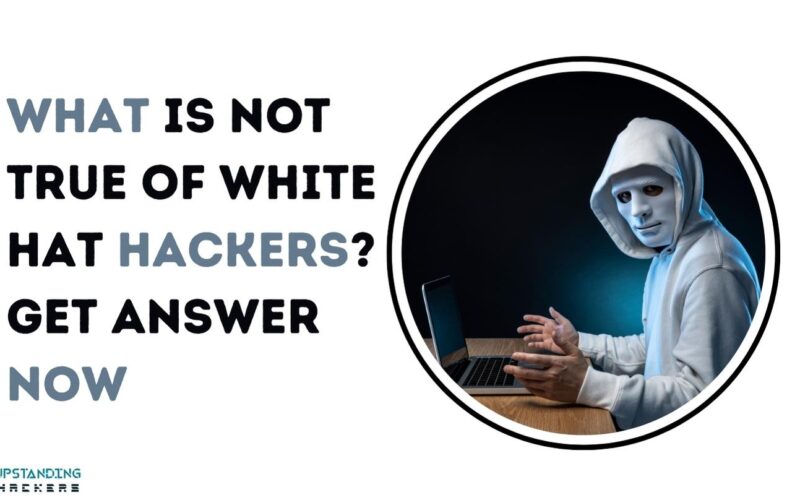 What Is Not True of White Hat Hackers? Get Answer Now