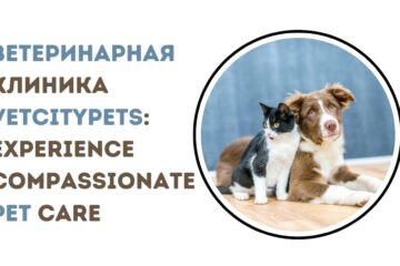 ветеринарная клиника VetCityPets: Compassionate Pet Care Now