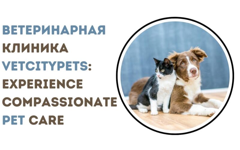 ветеринарная клиника VetCityPets: Compassionate Pet Care Now